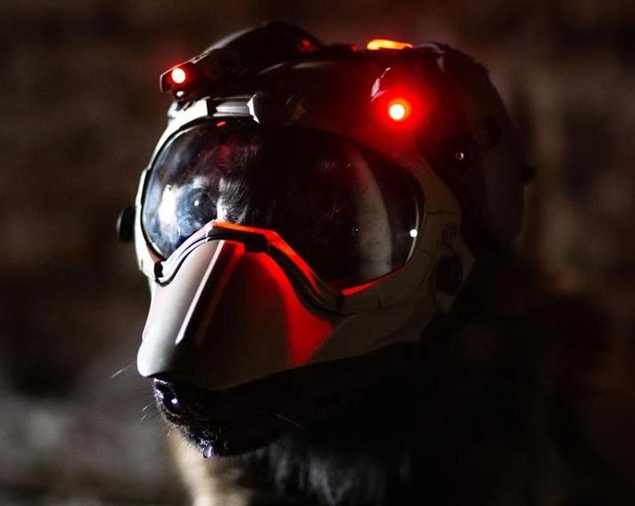 Dark Systems разработала многофункциональный защитный шлем DarkFighter K9 GEN4 для служебных собак